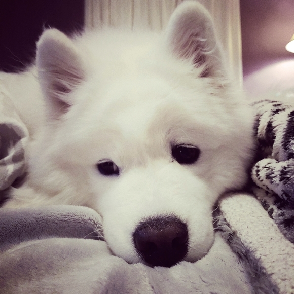 Meet your Posher, Theodora Abby - Picture 5 of 9